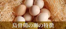 烏骨鶏の卵の特徴