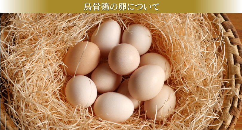 烏骨鶏の卵について